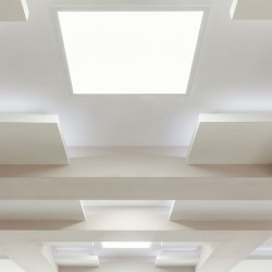 Panou LED 36W 600x600mm 2in1 ST/PT 110lm/W 6400K 638021